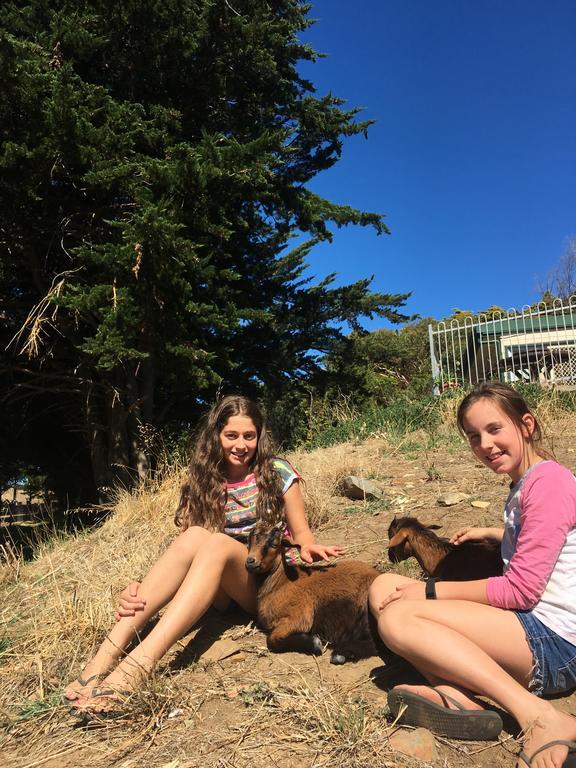 קייפ ג'רביס Morella Farmstay מראה חיצוני תמונה