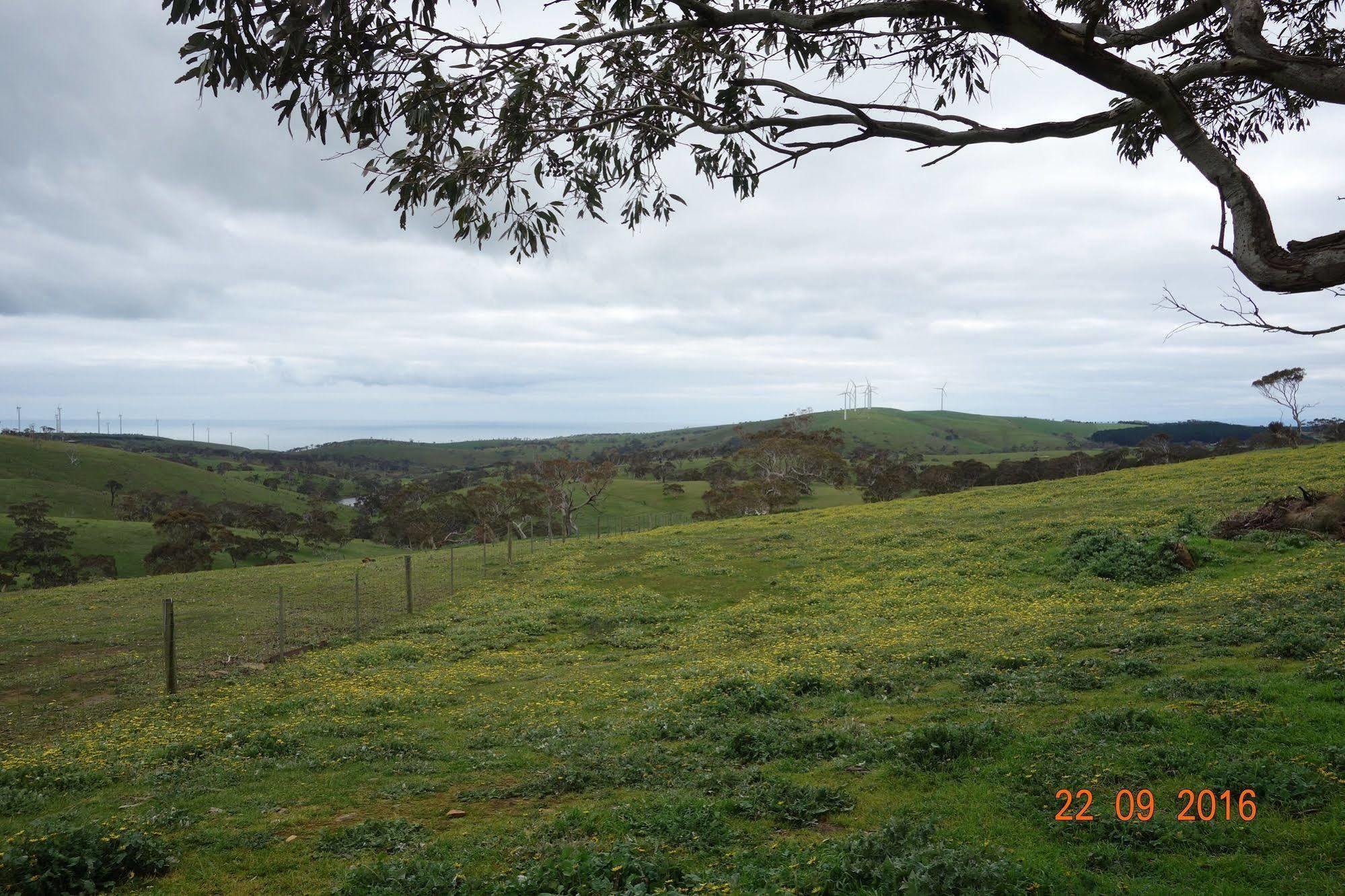 קייפ ג'רביס Morella Farmstay מראה חיצוני תמונה